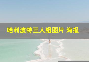 哈利波特三人组图片 海报